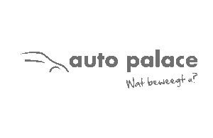 Logo Auto Palace